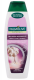 PALMOLIVE SHAMPOO BEAUTY GLOSS 350ML DOF HAAR