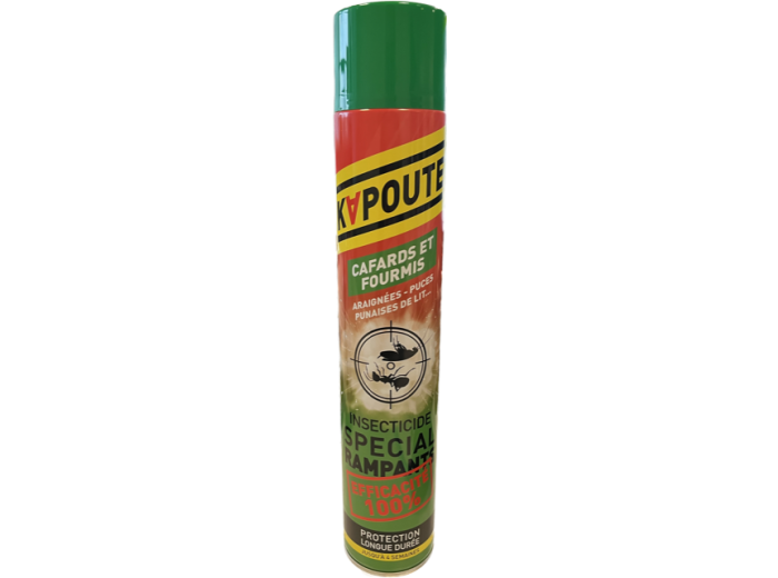 KAPOUTE INSECTICIDE 750ML KRUIPENDE INSECTEN