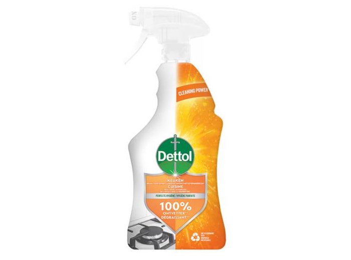 DETTOL NETTOIE-TOUT SPRAY 500ML EUCALYPTUS