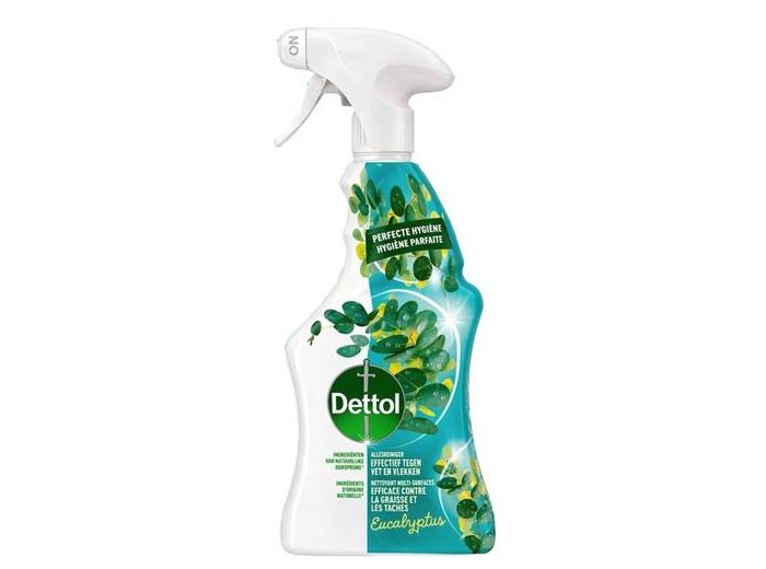 DETTOL NETTOIE-TOUT SPRAY 500ML EUCALYPTUS