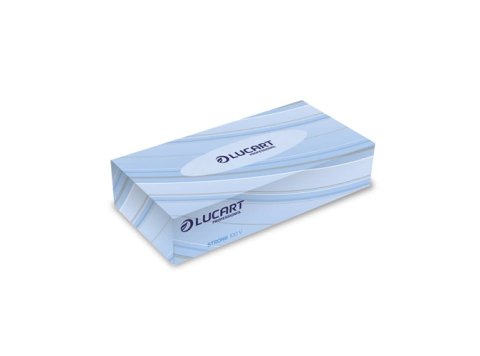 LUCART FACIAL TISSUES 40X100ST