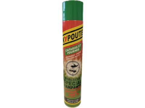 KAPOUTE INSECTICIDE 750ML KRUIPENDE INSECTEN