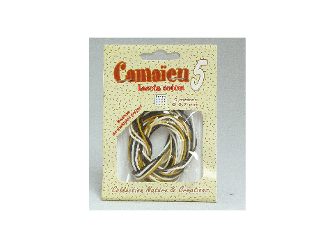 VETERS CAMAIEU 5 ST BRUIN