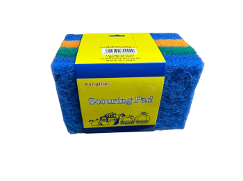 SCHUURPADS 4 ST 9.5 CM X 14.5 CM