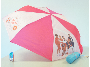 PARAPLU HIGH SCHOOL MUSICAL KLEIN MODEL(BLAUW EN ROSE)
