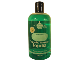 ENERGIE FRUIT SHAMPOO 500 MLPURIFIANT SORBET GLACE