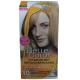 GARNIER BELLE COLOR UITGROEISET R8 LICH T BLOND