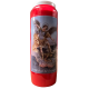 NOVEENKAARS ROOD 9-DAGENBRANDER ENGEL MICHAEL FR + GEBED