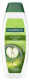 PALMOLIVE SHAMPOO APPEL & SINAASAPPEL 350ML ALLE HAARTYPEN